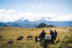 Taking the condors to their acclimatization center