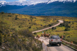 Entering to Patagonia National Park