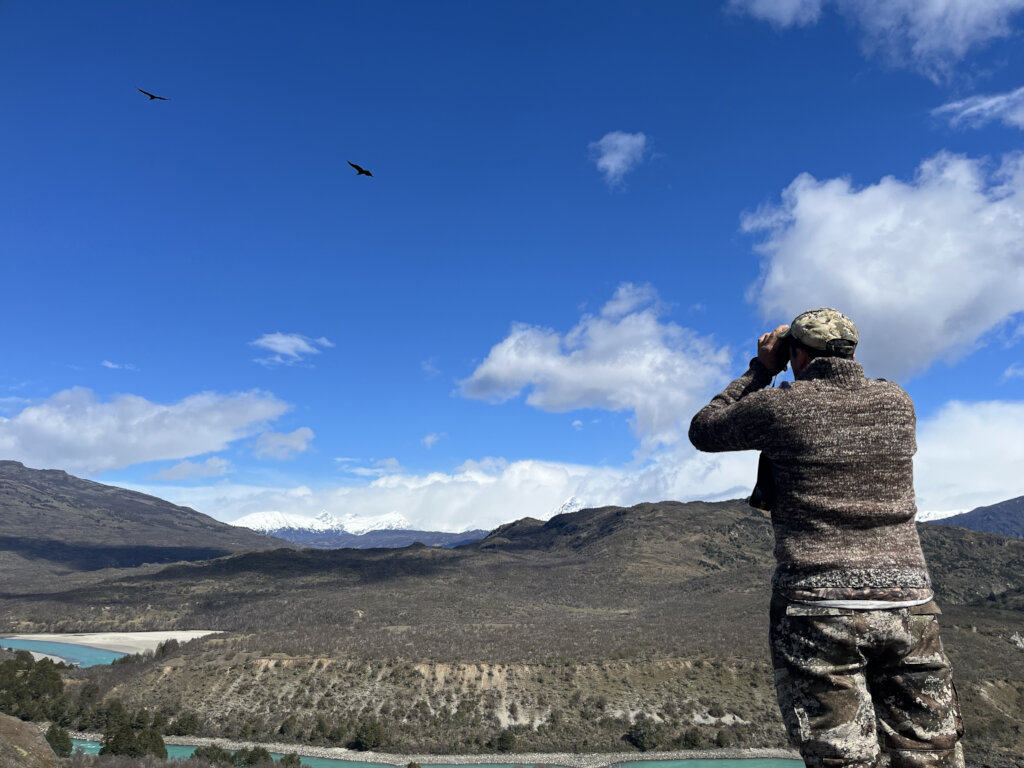 Monitoring both condors