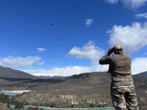 Monitoring both condors