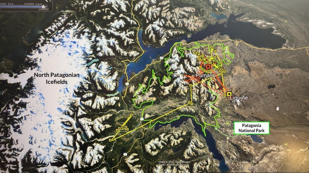 Pumalin and Liquine's latest movements