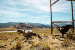 Getting used to the air currents