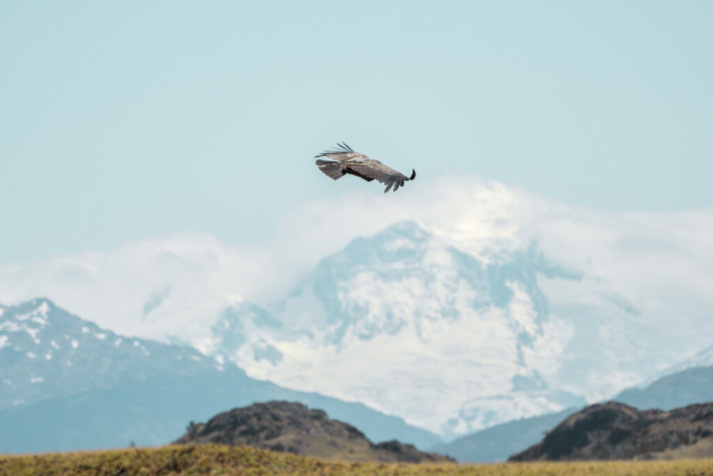 Finally free! Now, the monitoring begins!