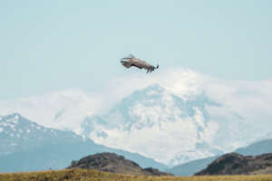 Finally free! Now, the monitoring begins!