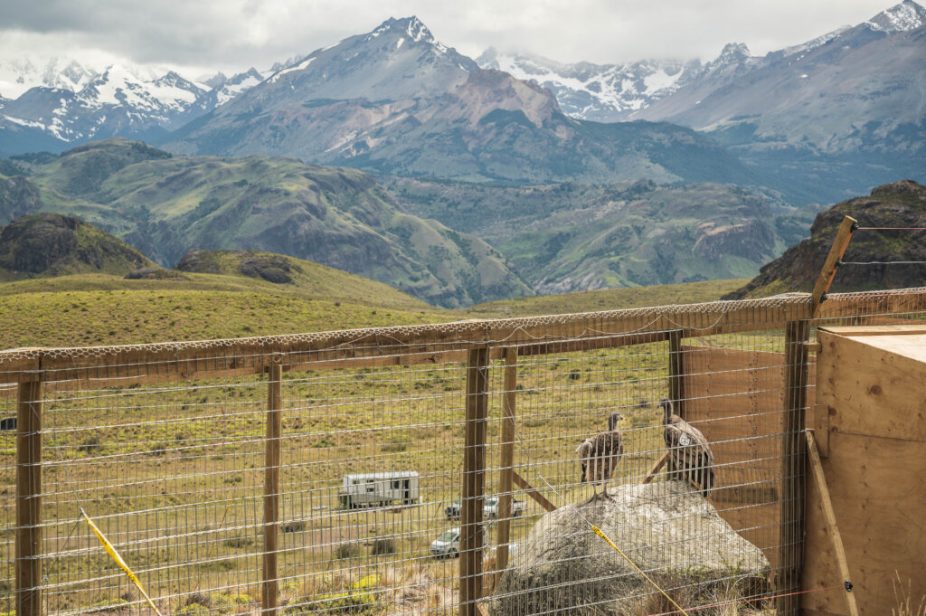 A year ago, in the acclimatization center