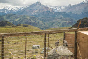 A year ago, in the acclimatization center