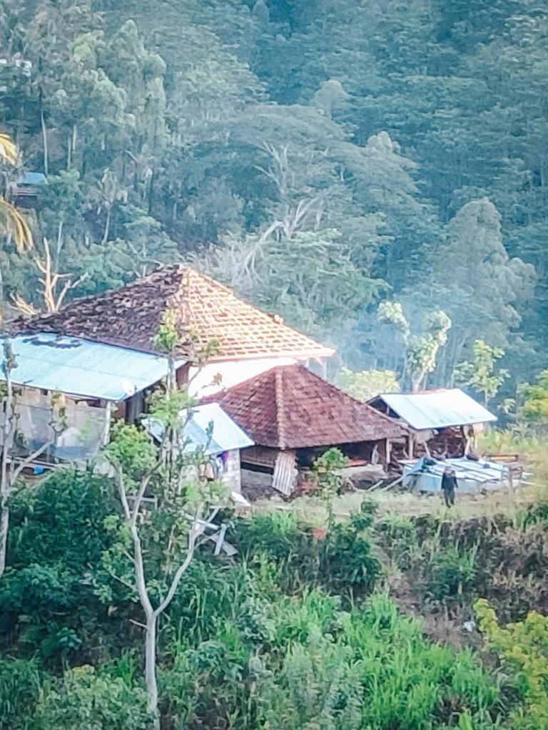 Shelters for 343 E Bali Earthquake Victim Families