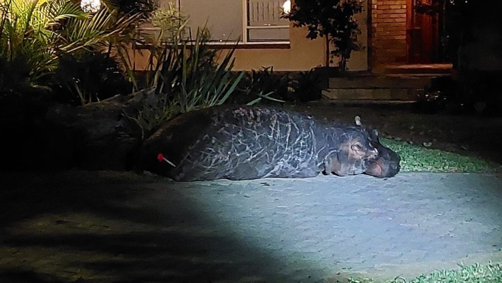 Dedicated wildlife rescue vehicle