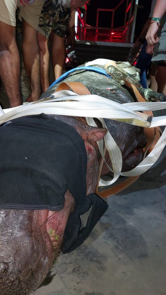 Dedicated wildlife rescue vehicle