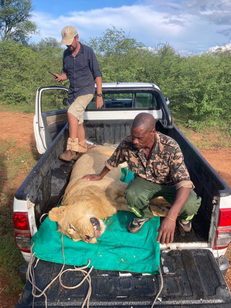 Dedicated wildlife rescue vehicle
