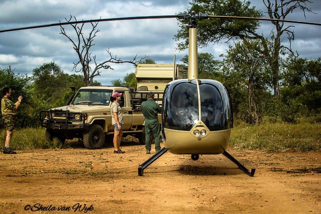 Dedicated wildlife rescue vehicle
