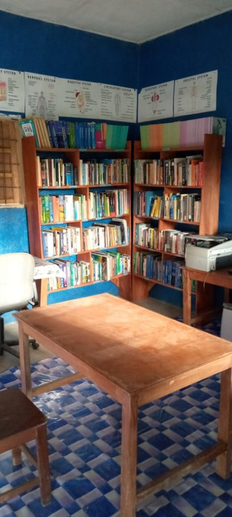 Fight Illiteracy with Liberian Children's Books