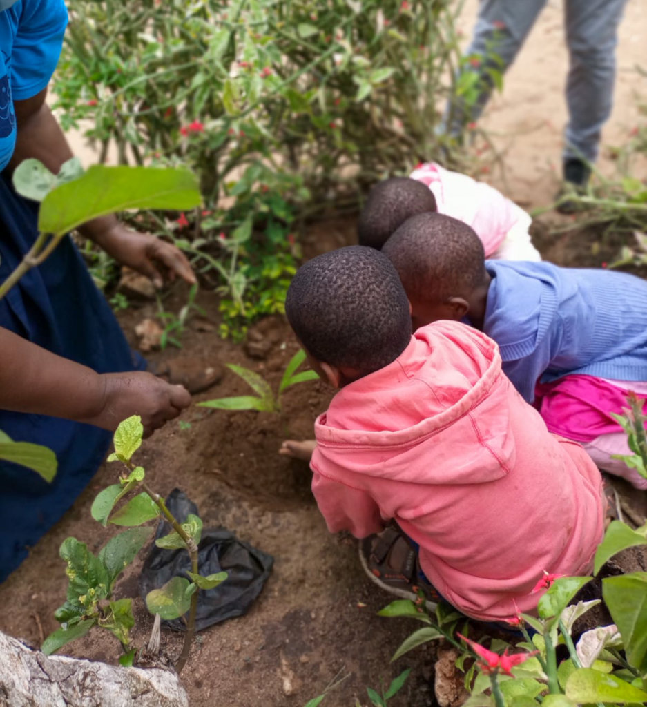 Help us find local families for abandoned children