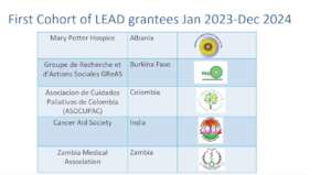 LEAD Institutional grantees