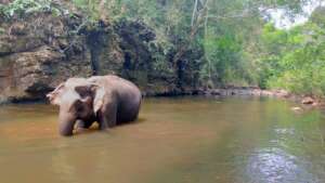 Mae Nang in the river