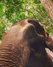 NingWan - I'm keeping an eye on you!