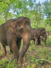 Gee Chreng getting closer to Pearl and baby D