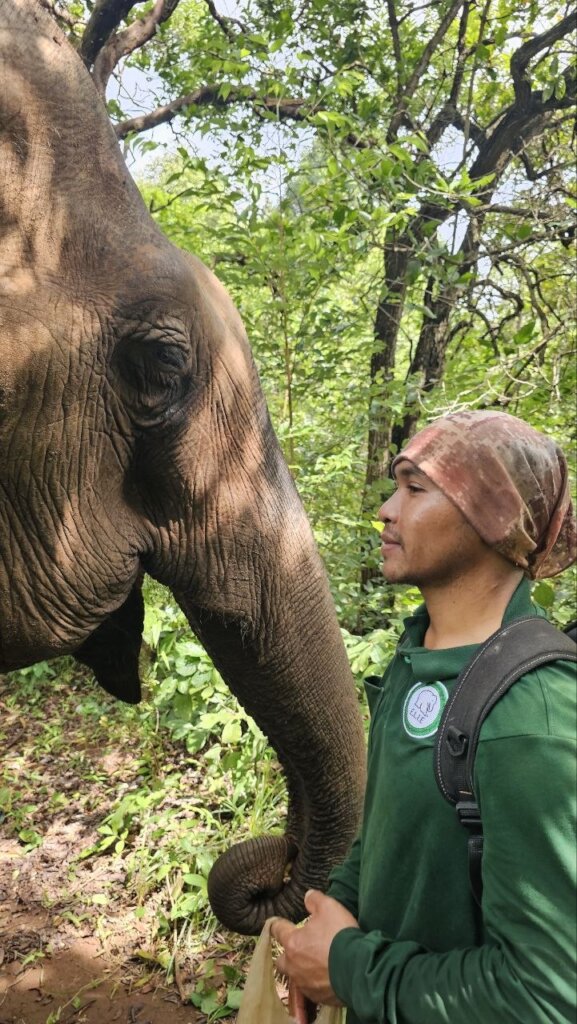 Darling + mahout
