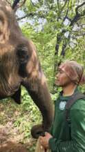 Darling + mahout