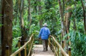 Pterocarpus Forest GivingTuesday 2021