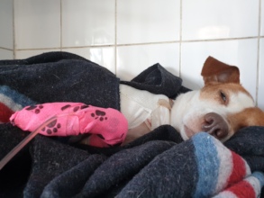 Mercy, in recovery