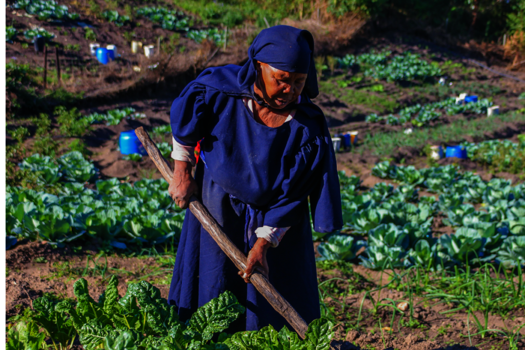 Elevate Education for Rural South African Children