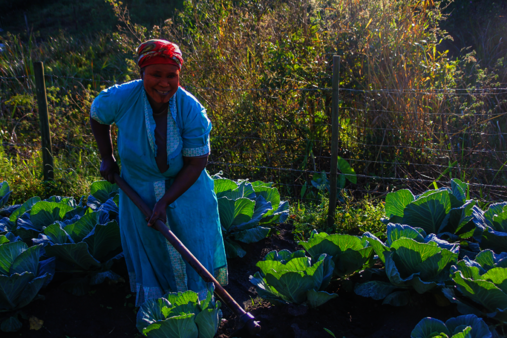 Elevate Education for Rural South African Children