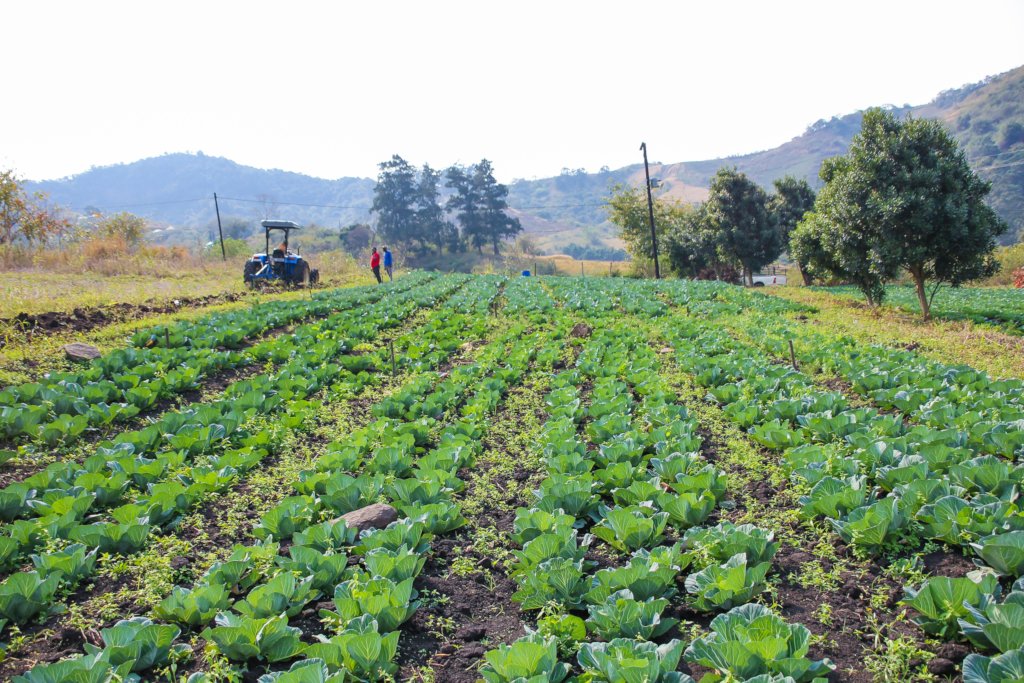 Elevate Education for Rural South African Children