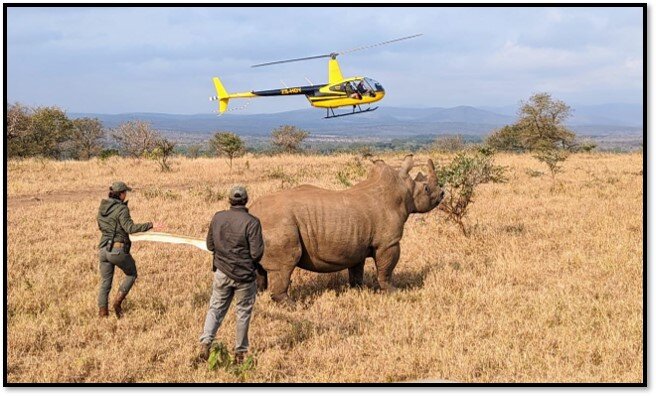 Zululand Rhino Orphanage