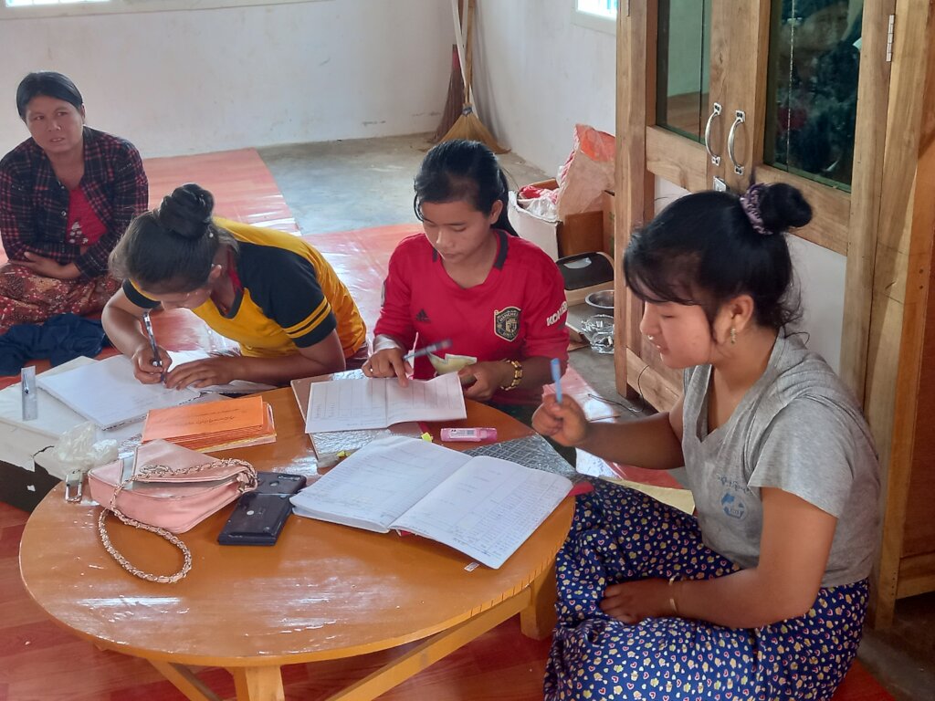 Rural Myanmar Women Prosper with Pig Farming