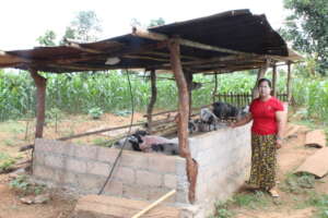 Rural Myanmar Women Prosper with Pig Farming
