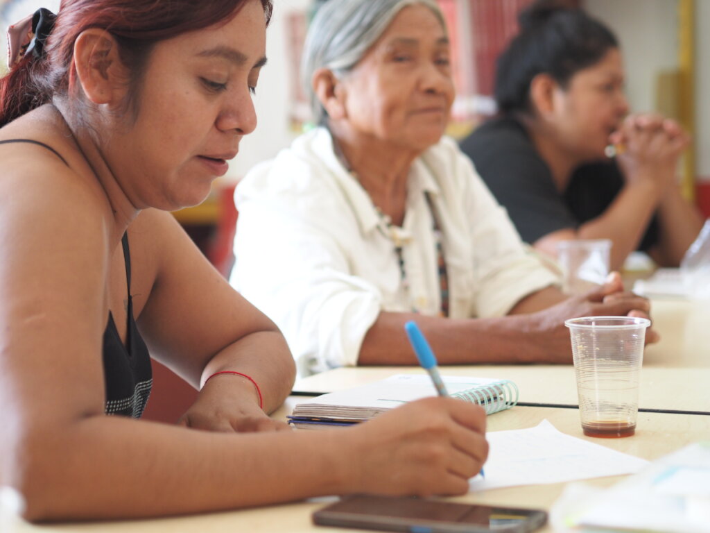 Build Cooperatives with Indigenous Women in Mexico