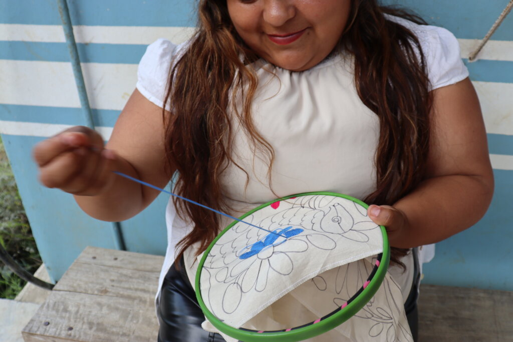 Build Cooperatives with Indigenous Women in Mexico