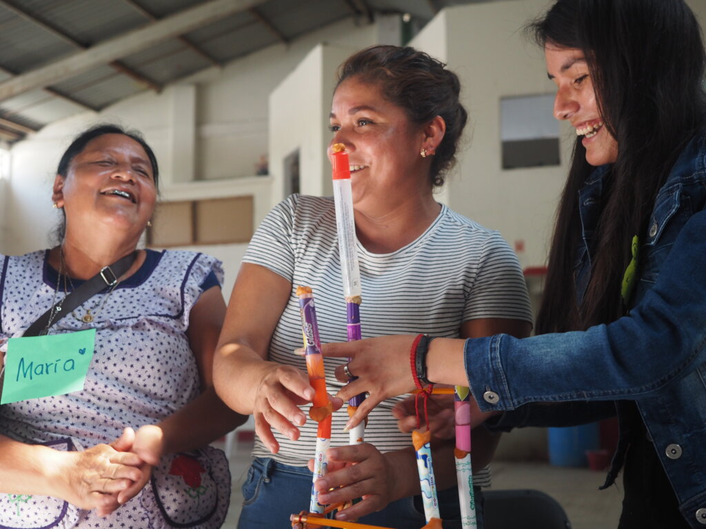 Build Cooperatives with Indigenous Women in Mexico