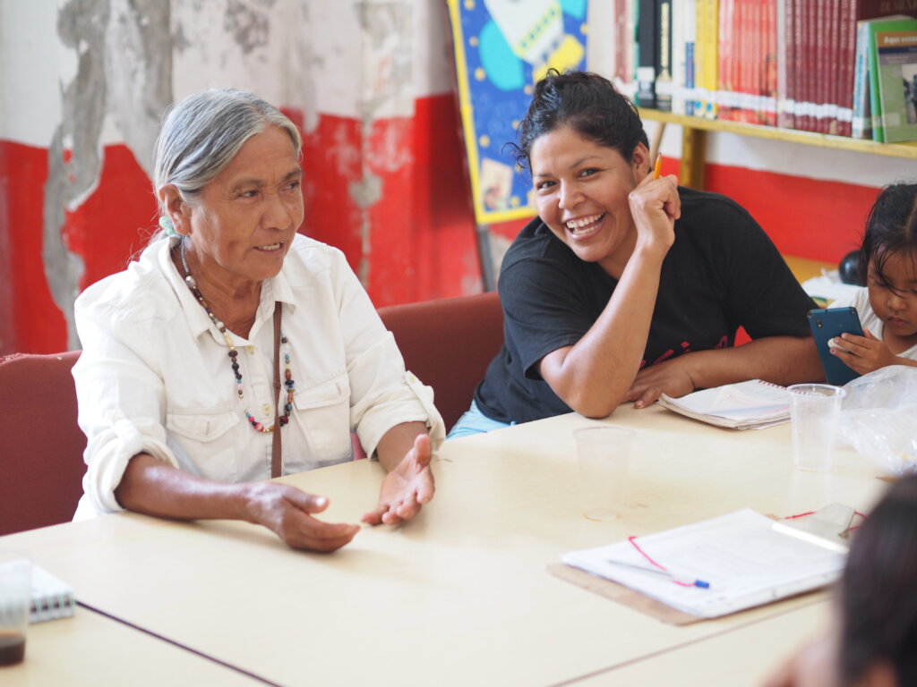 Build Cooperatives with Indigenous Women in Mexico
