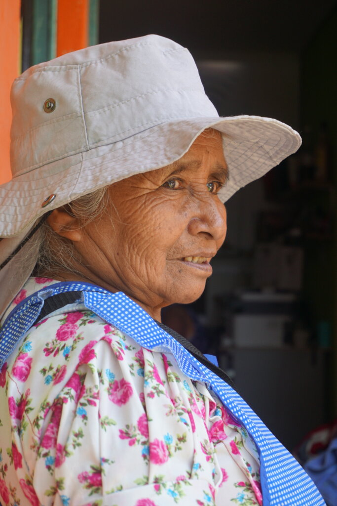 Build Cooperatives with Indigenous Women in Mexico