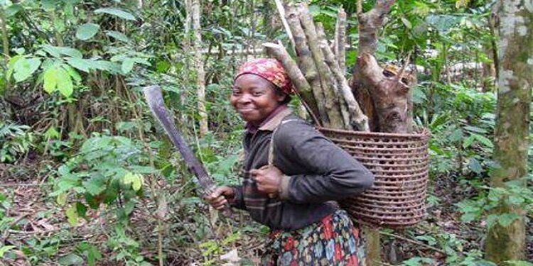 End Poverty, Empower Rural Women in Congo