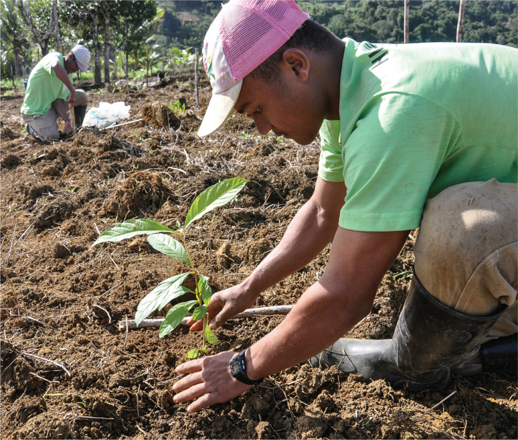 TREE PLANTING IN S/EAST: COMMUNITY CLIMATE ACTION