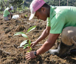 Revive S/East: Go Green-Bio & Solar for Climate