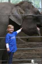Savannah petting an elephant