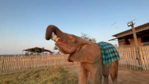 Khanyisa enjoying her milk bottle