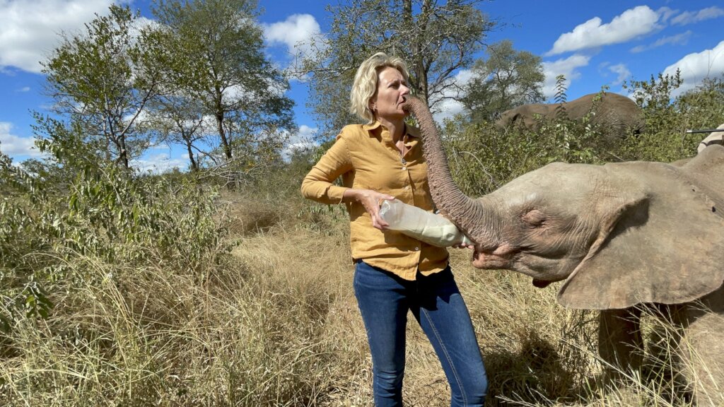 Raise Khanyisa Orphaned Elephant Snaring Survivor