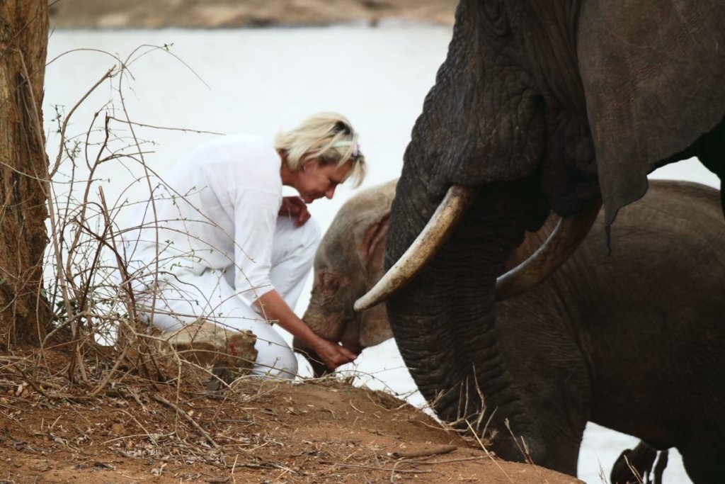 Raise Khanyisa Orphaned Elephant Snaring Survivor