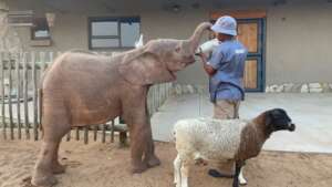 Khanyisa enjoying her milk bottles