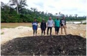 Biochar: Bringing toxic land back  to life