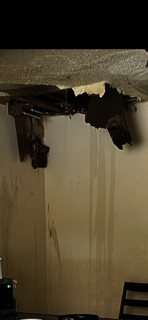 Help a Single Mom in Crisis this Holiday Season