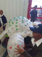 Plastic Changemakers event