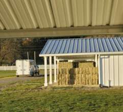 Hay ready for an intake of 36 neglected horses