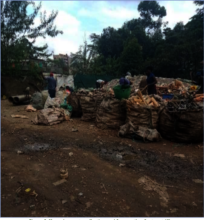 Plastic and other waste ready for sorting
