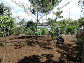 Community getting involved + planting more trees